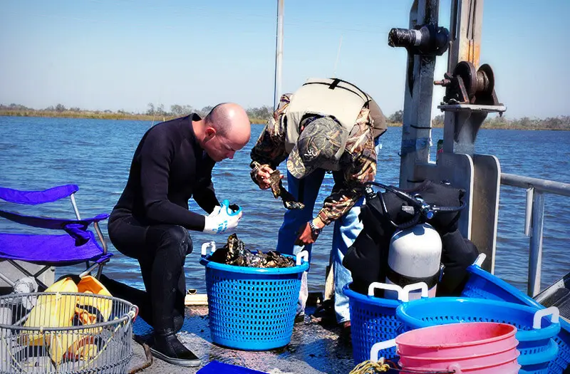 Men checking marine life via boat